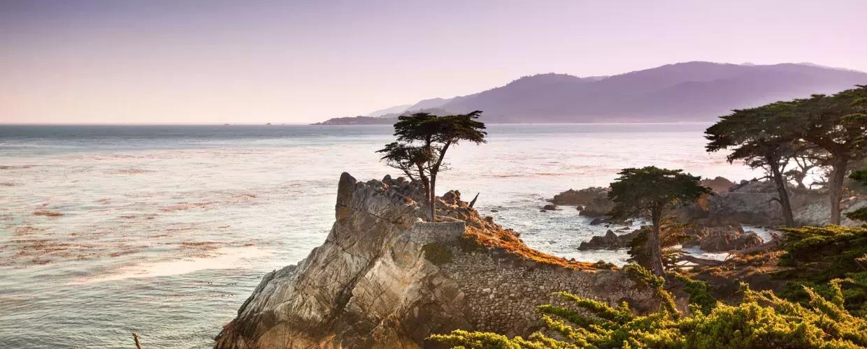 一棵孤独的柏树被拍摄在一个被太平洋和沿海树叶包围的半岛上。.